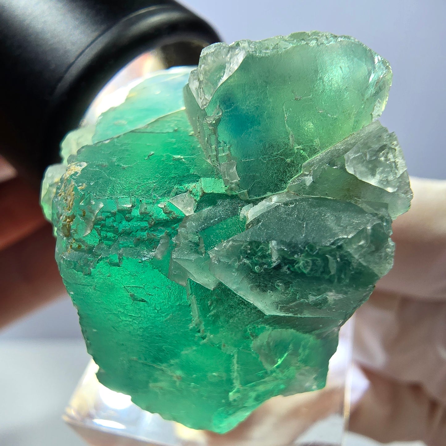 Seltene Phantom Fluorit Würfel Stufe, grün Okorusu, Namibia 41*37+21mm