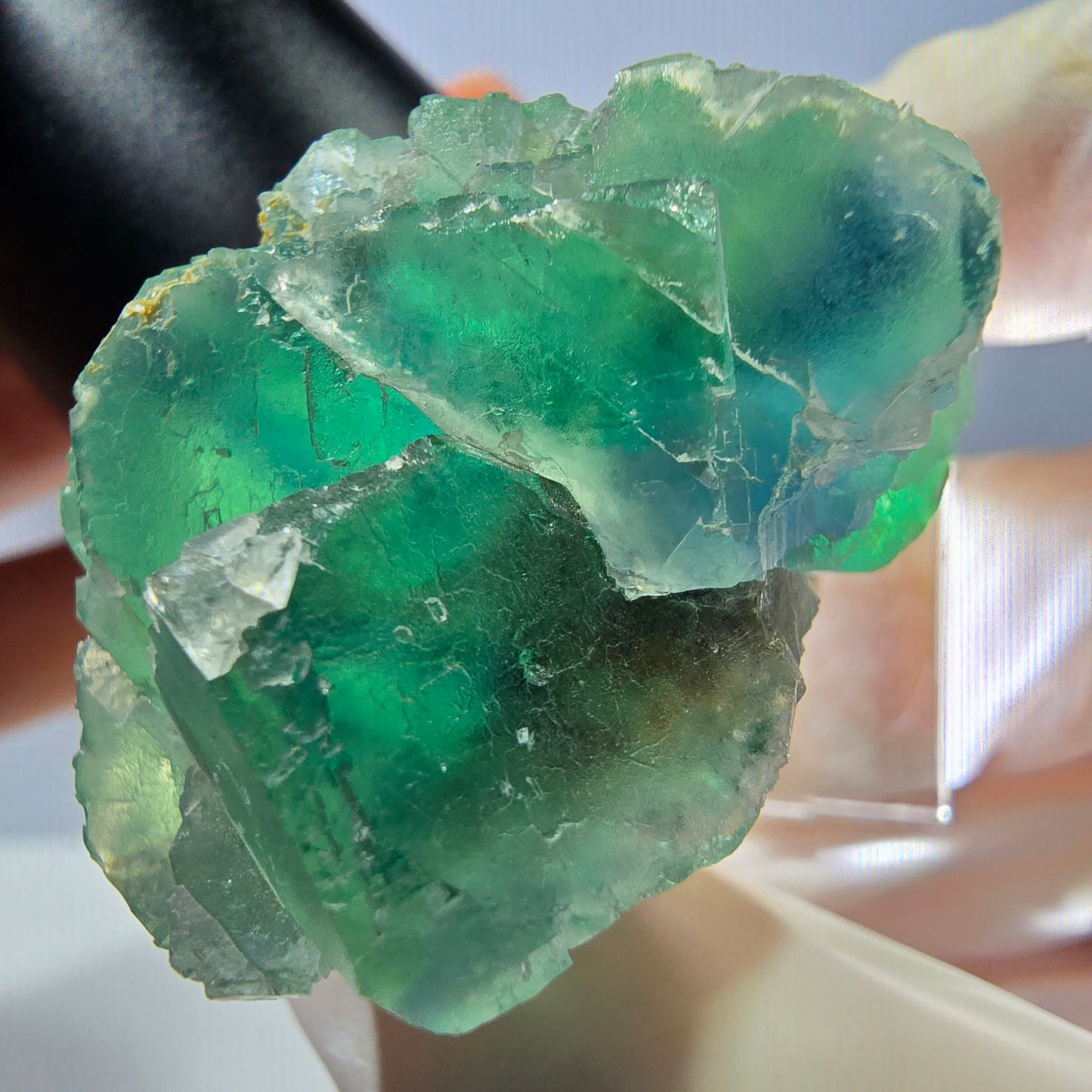 Seltene Phantom Fluorit Würfel Stufe, grün Okorusu, Namibia 41*37+21mm