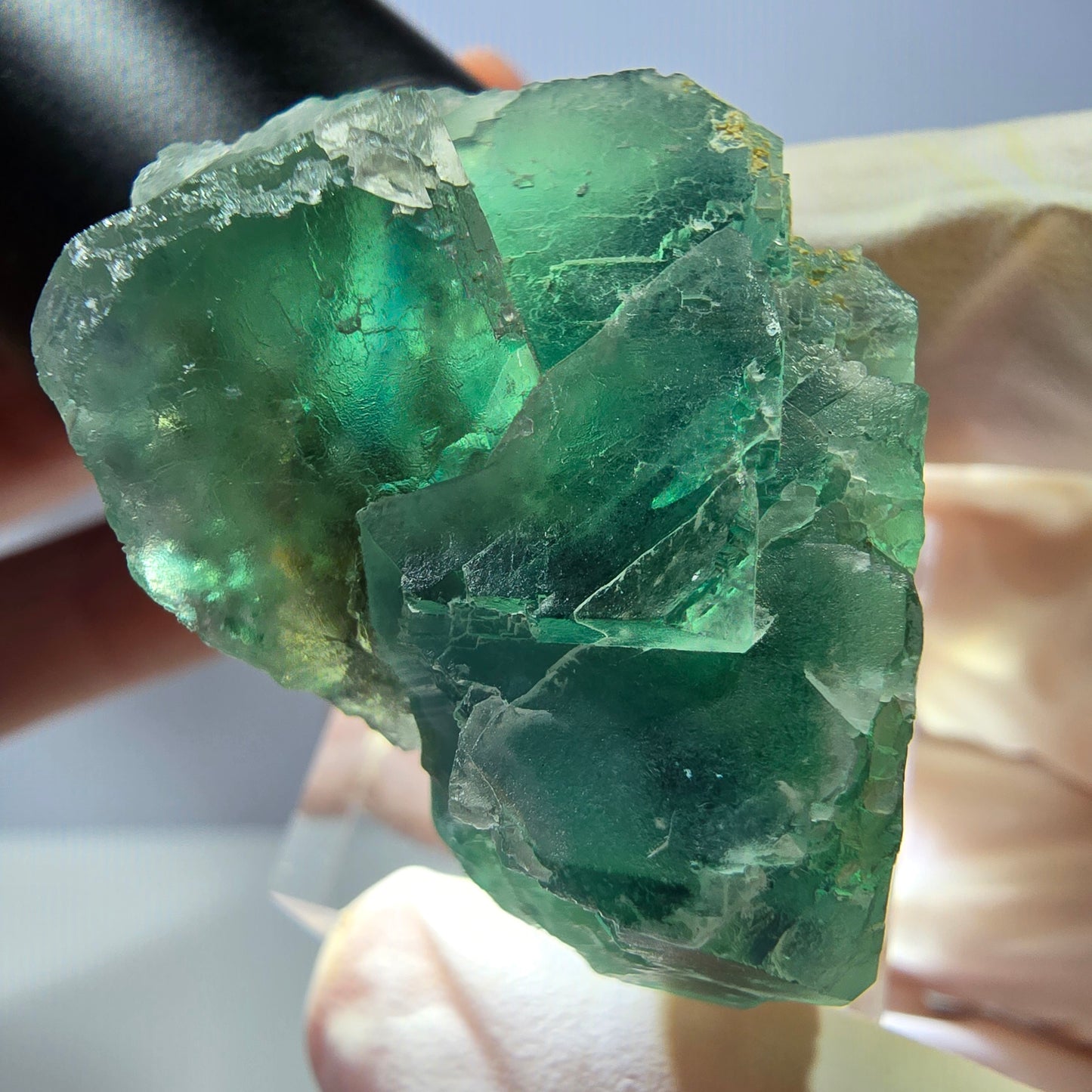 Seltene Phantom Fluorit Würfel Stufe, grün Okorusu, Namibia 41*37+21mm