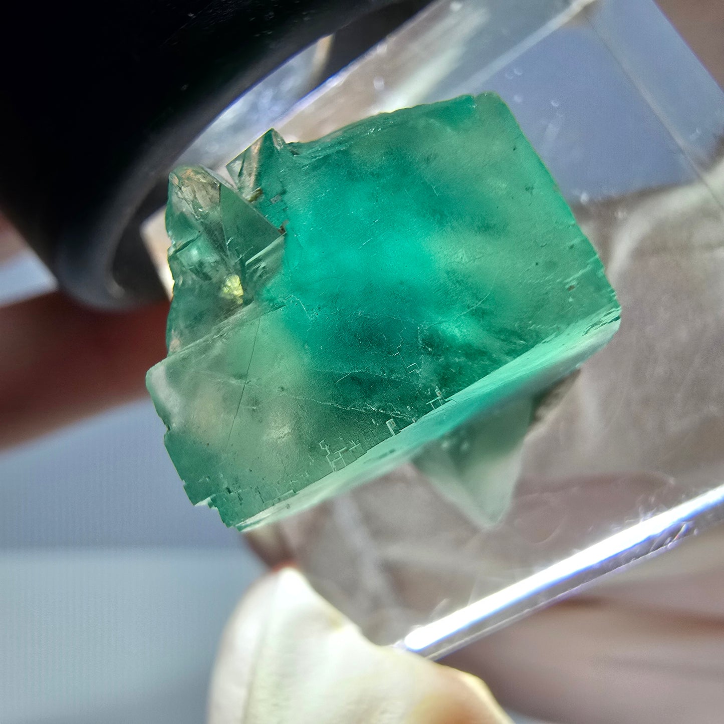 Rare spécimen de cube de fluorite fantôme, vert Okorusu, Namibie 17 x 16 x 16 mm