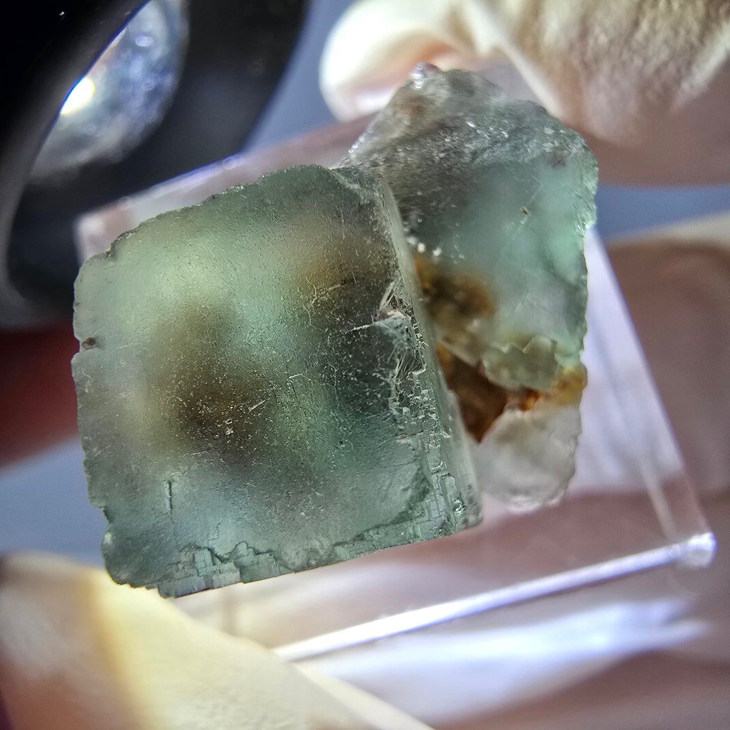 Seltene Phantom Fluorit Würfel Stufe, grün Okorusu, Namibia 22*19*18mm