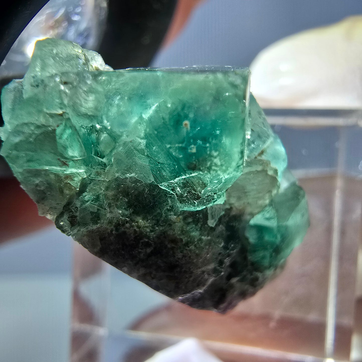 Seltene Phantom Fluorit Würfel Stufe, grün Okorusu, Namibia 25*14*12mm