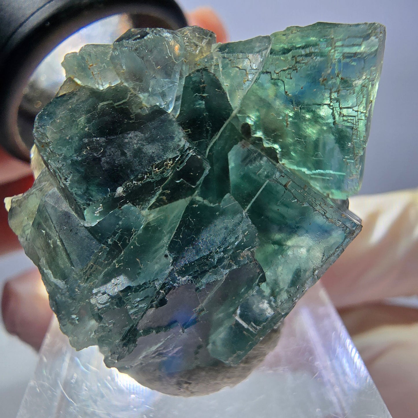 Seltene Phantom Fluorit Würfel Stufe, grün Okorusu, Namibia 33*27*20mm