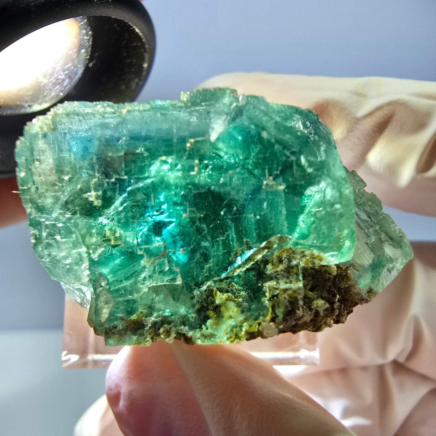 Seltene Phantom Fluorit Würfel Stufe, grün Okorusu, Namibia 34*21*21mm