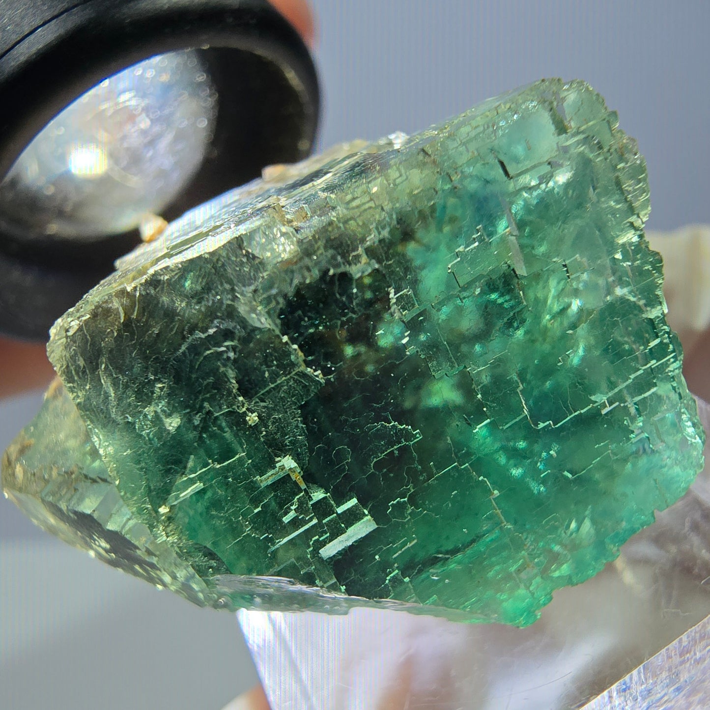Seltene Phantom Fluorit Würfel Stufe, grün Okorusu, Namibia 34*21*21mm