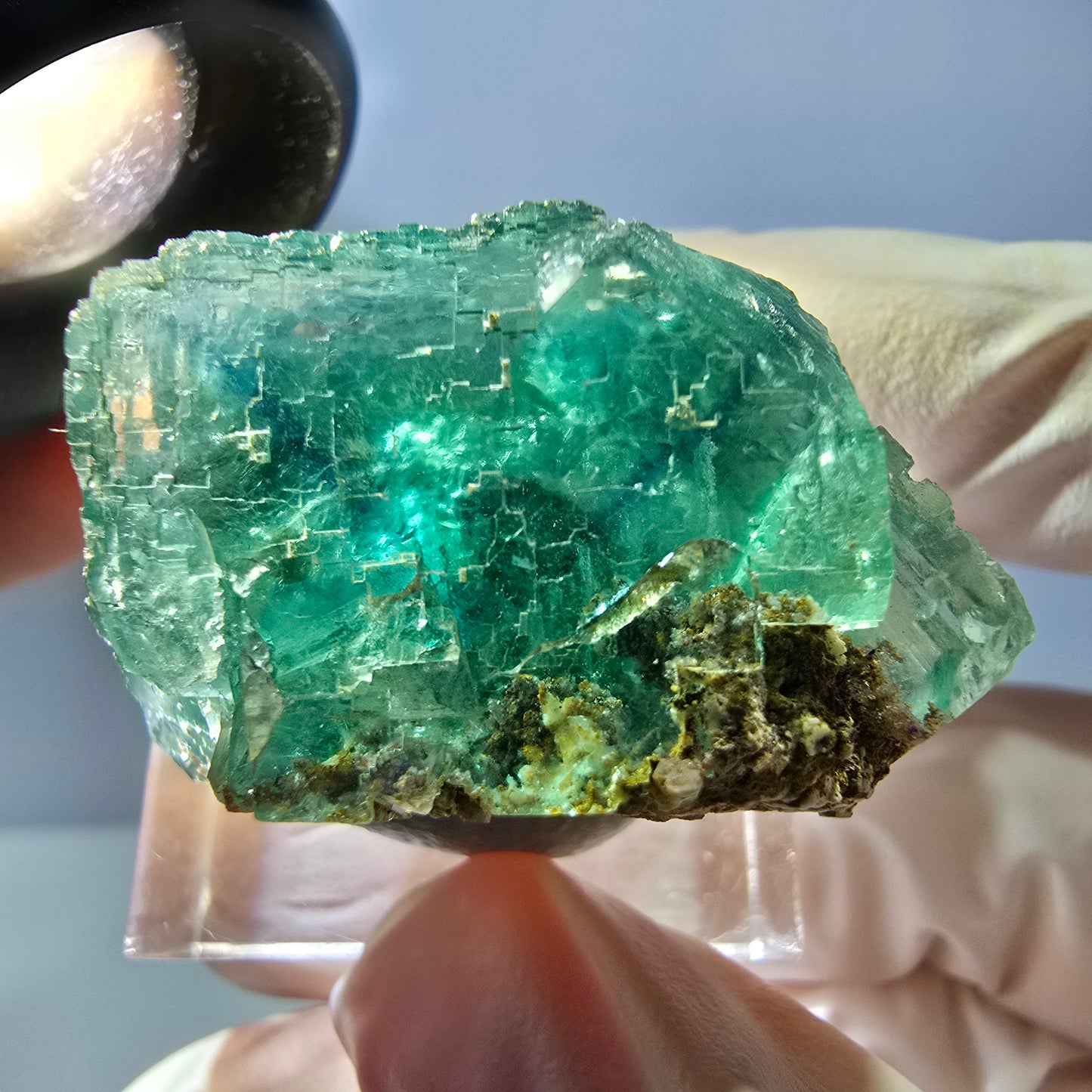 Seltene Phantom Fluorit Würfel Stufe, grün Okorusu, Namibia 34*21*21mm