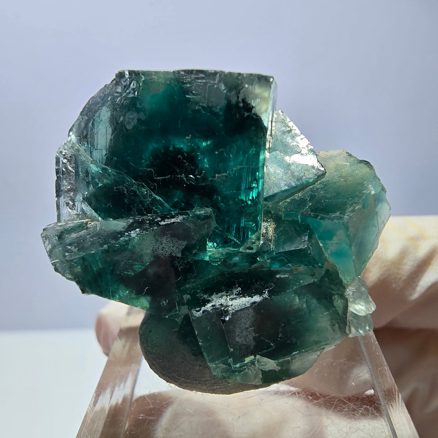 Rare spécimen de cube de fluorite fantôme, vert Okorusu, Namibie 32 x 29 x 17 mm