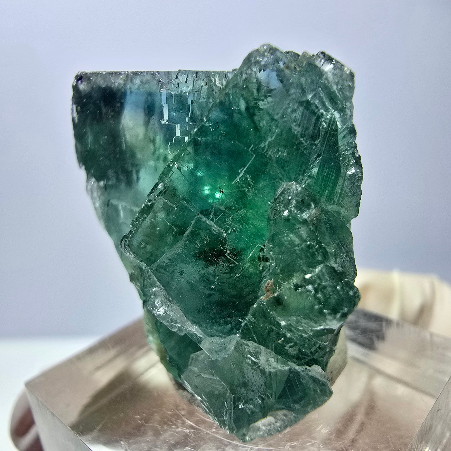 Seltene Phantom Fluorit Würfel Stufe, grün Okorusu, Namibia 31*27*17mm