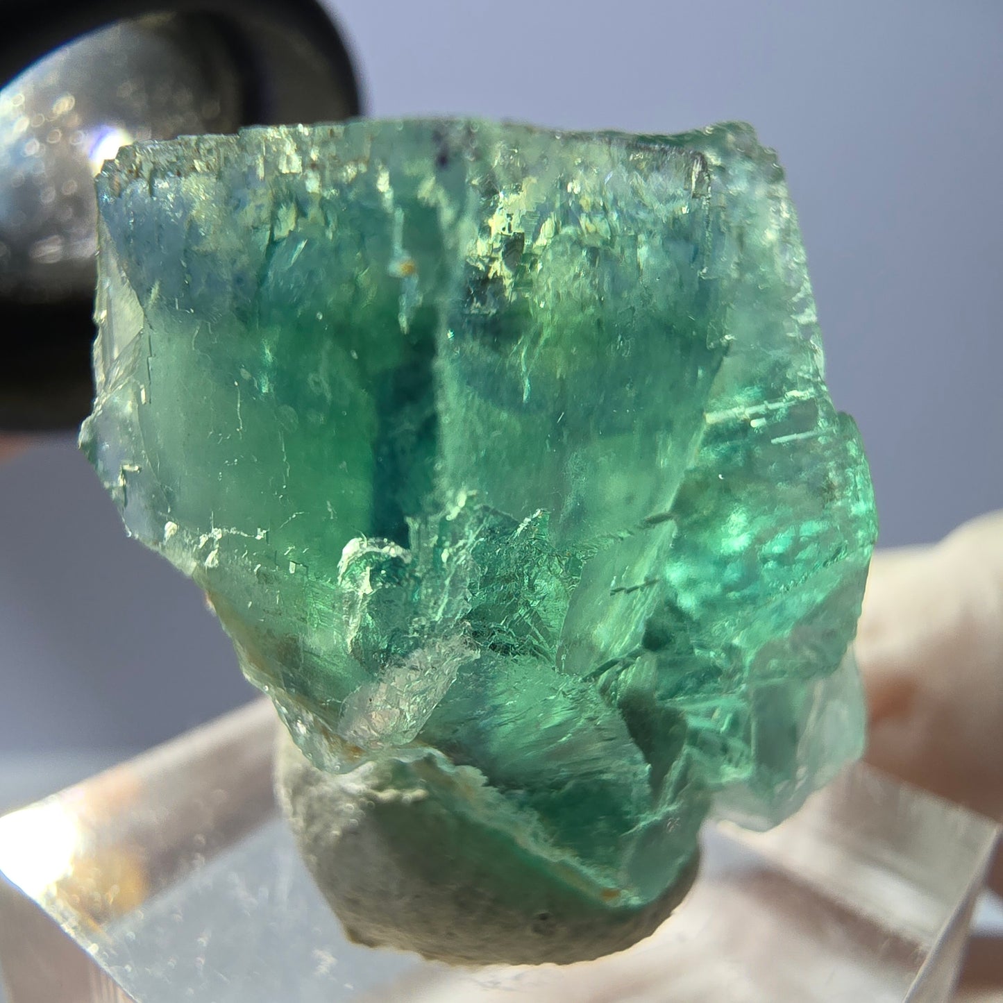 Seltene Phantom Fluorit Würfel Stufe, grün Okorusu, Namibia 31*27*17mm