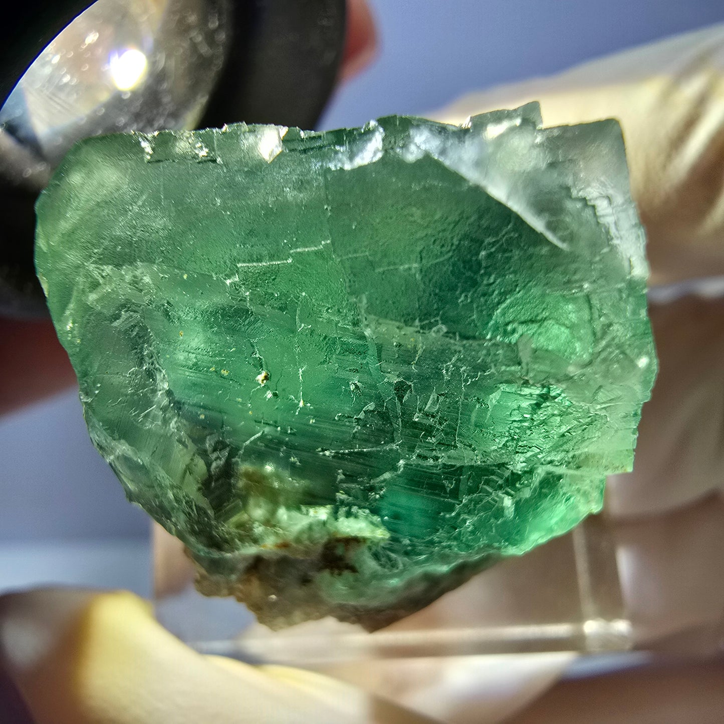 Seltene Phantom Fluorit Würfel Stufe, grün Okorusu, Namibia 25*23*22mm