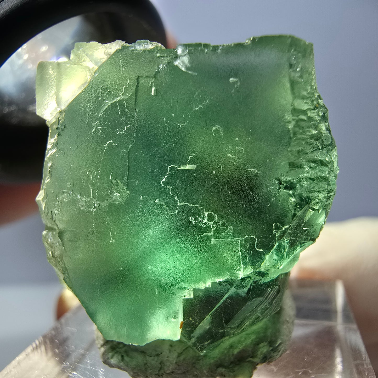 Seltene Phantom Fluorit Würfel Stufe, grün Okorusu, Namibia 25*23*22mm