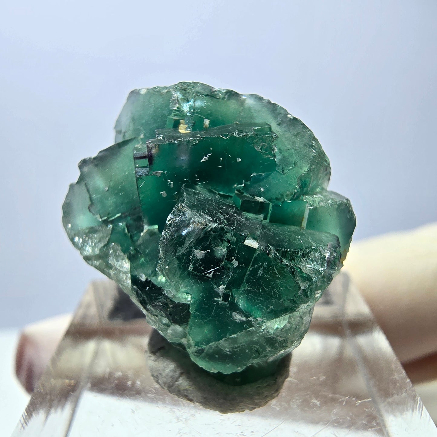 Seltene Phantom Fluorit Würfel Stufe, grün Okorusu, Namibia 22*21*13mm