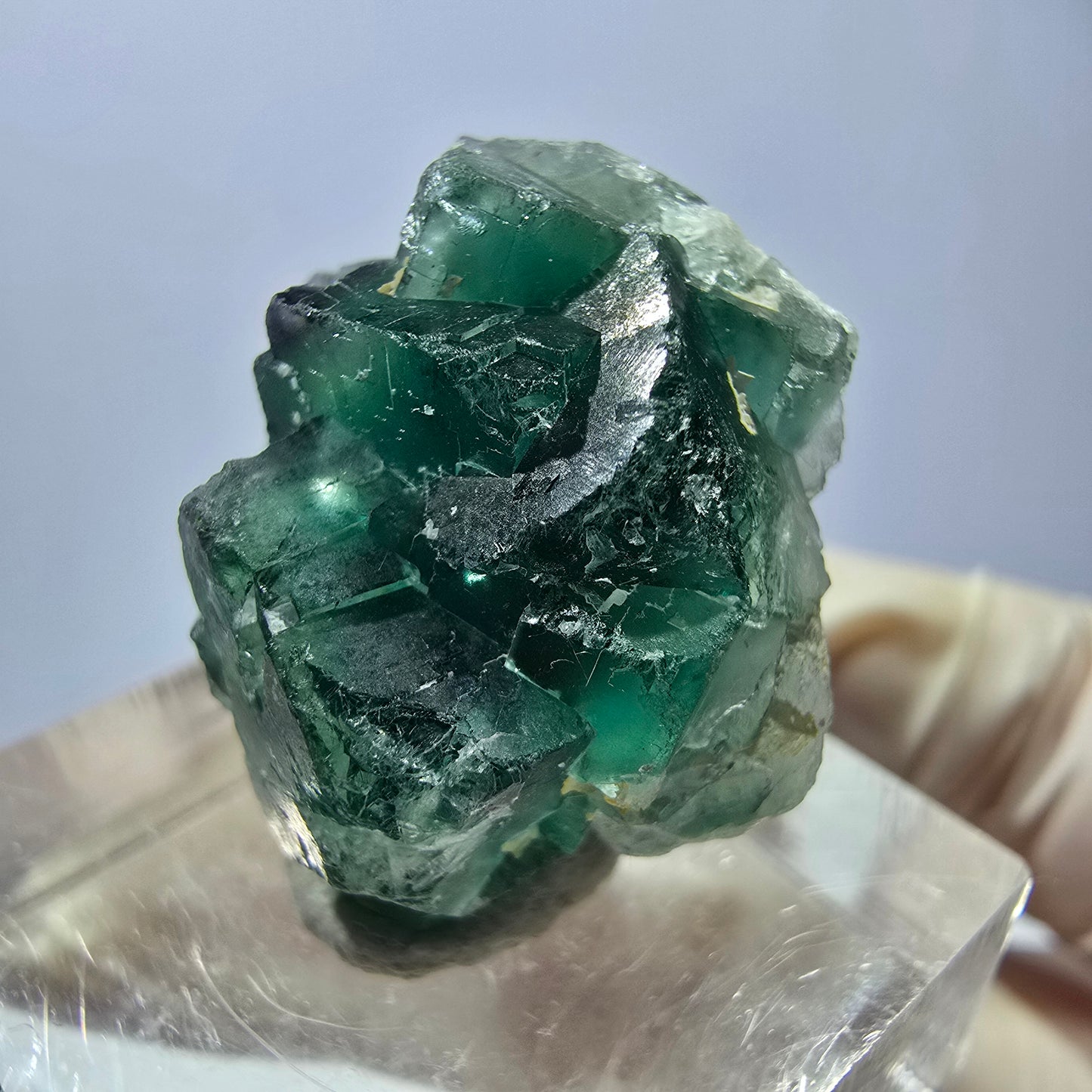 Seltene Phantom Fluorit Würfel Stufe, grün Okorusu, Namibia 22*21*13mm