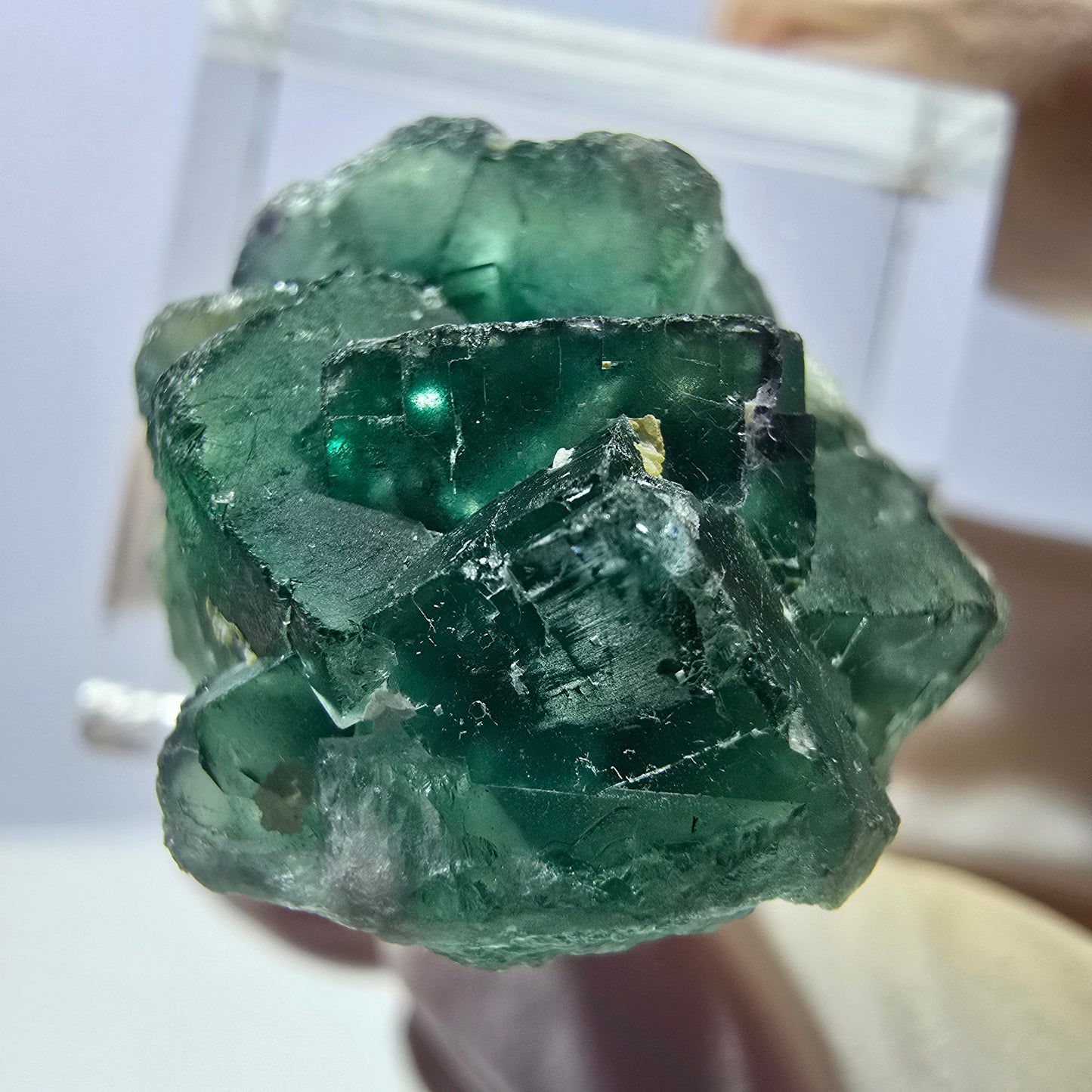 Seltene Phantom Fluorit Würfel Stufe, grün Okorusu, Namibia 22*21*13mm
