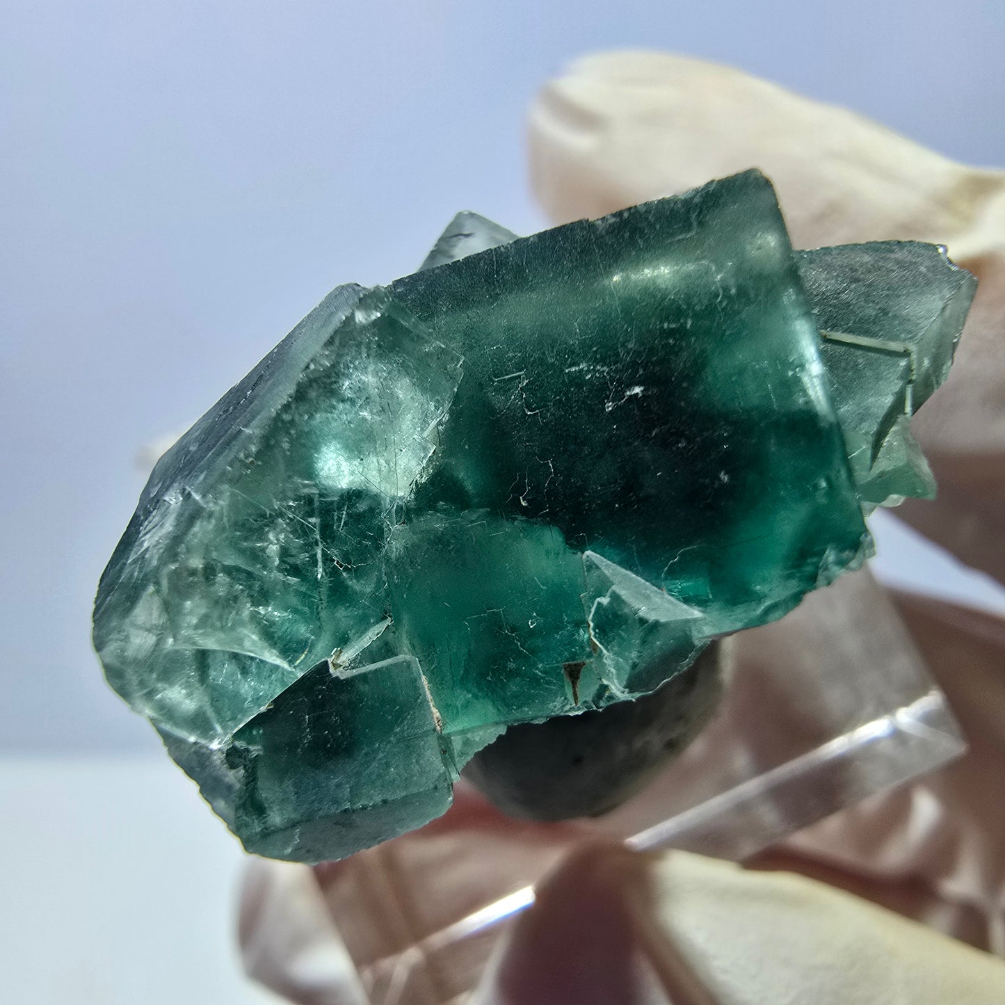 Seltene Phantom Fluorit Würfel Stufe, grün Okorusu, Namibia 26*23*16mm