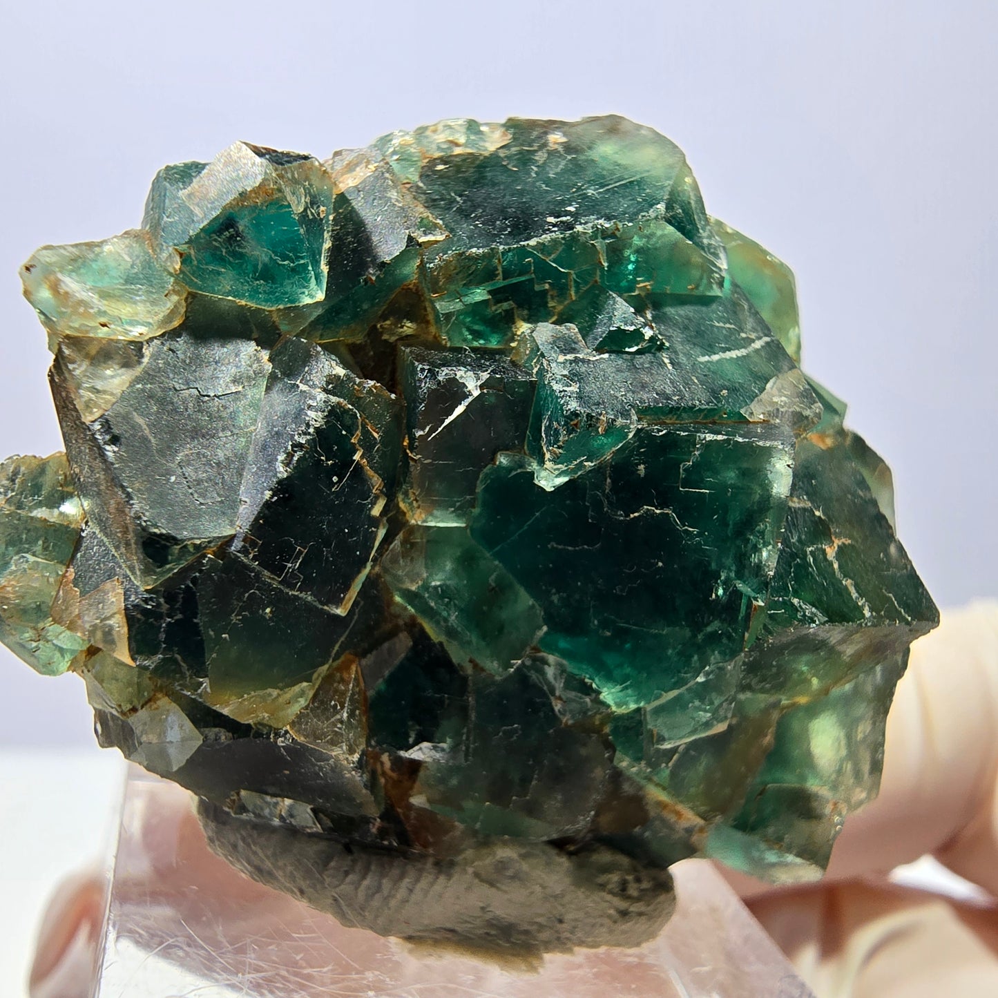 Seltene Phantom Fluorit Würfel Stufe, grün Okorusu, Namibia 41*34*20mm