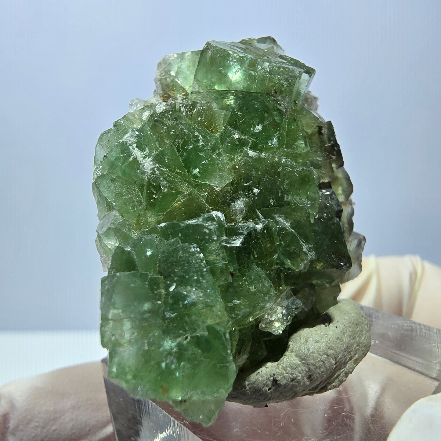 Rare spécimen de cube de fluorite fantôme, vert Okorusu, Namibie 45 x 33 x 17 mm