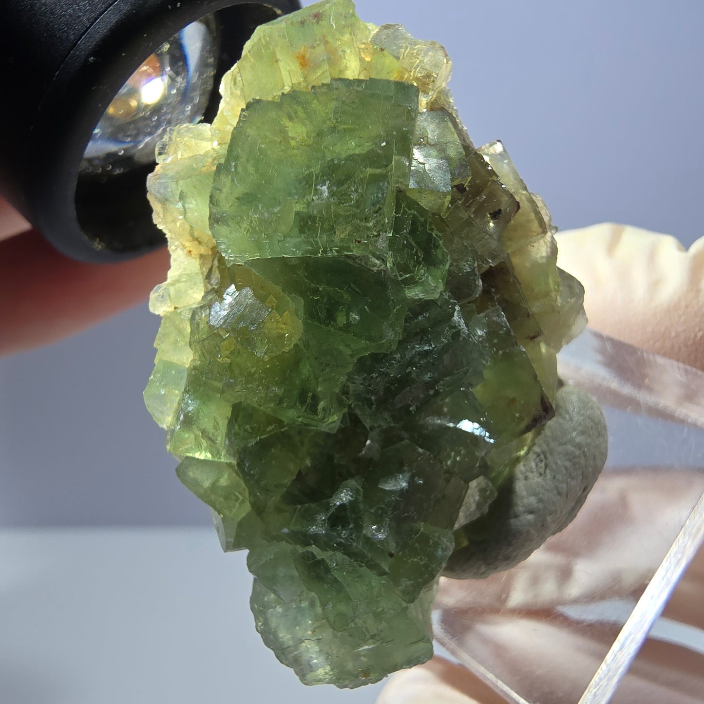 Rare spécimen de cube de fluorite fantôme, vert Okorusu, Namibie 45 x 33 x 17 mm