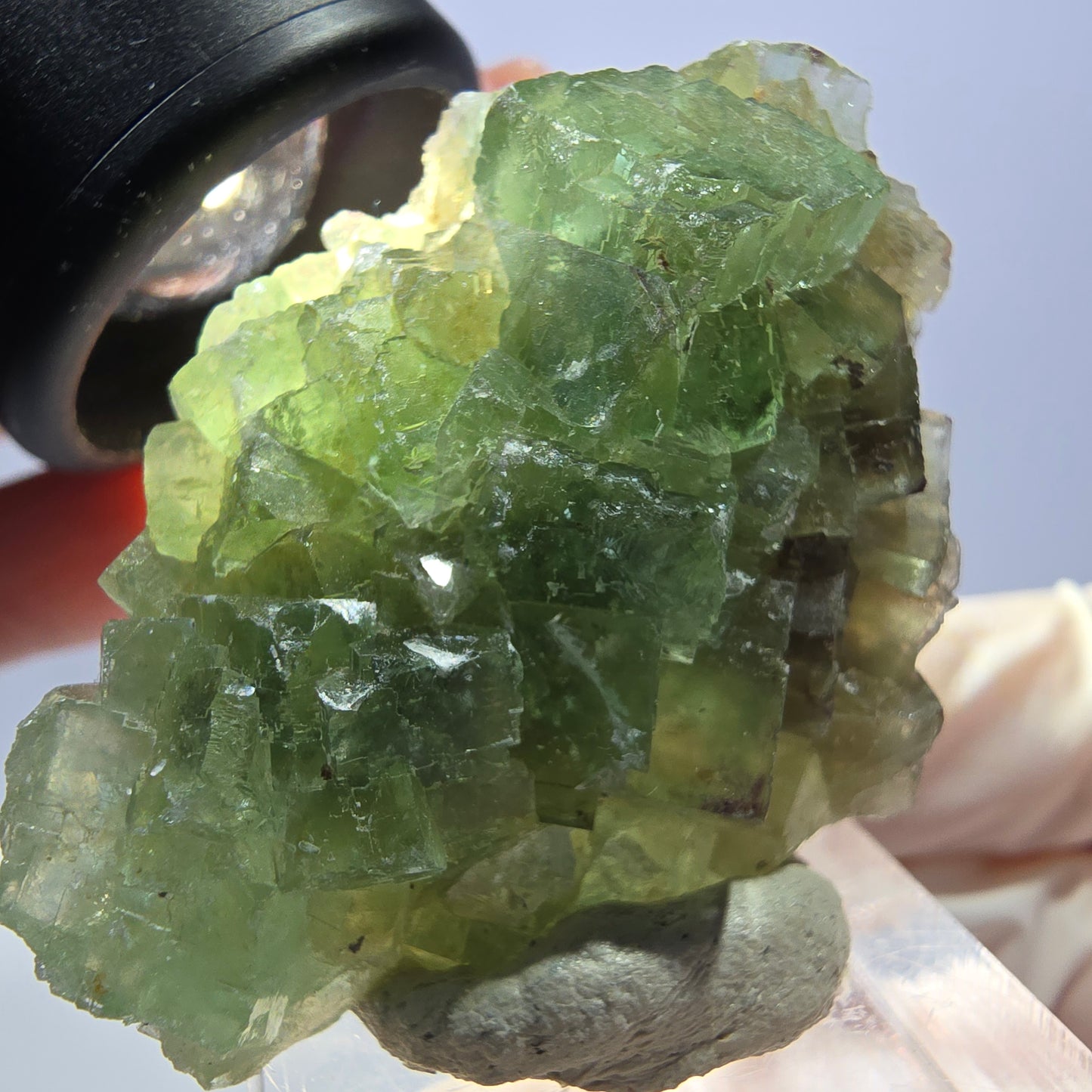 Rare spécimen de cube de fluorite fantôme, vert Okorusu, Namibie 45 x 33 x 17 mm