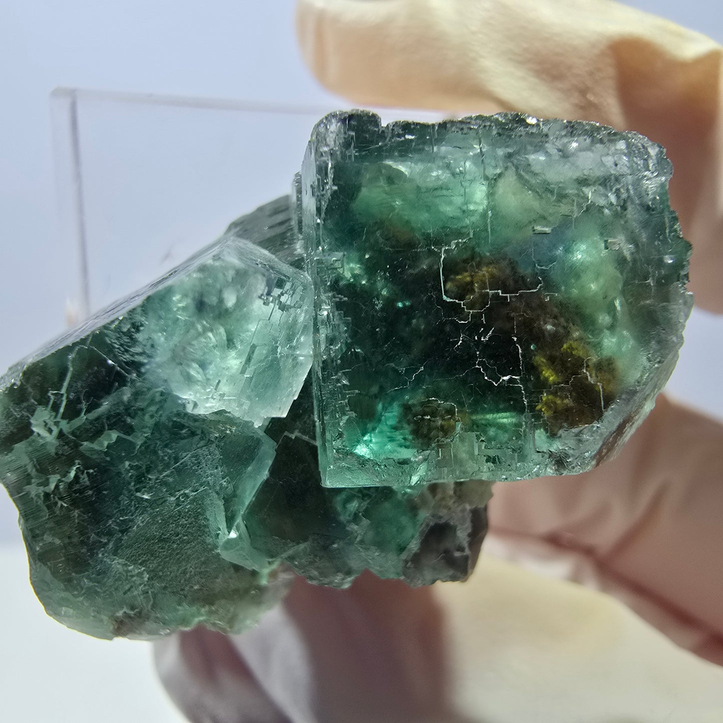 Seltene Phantom Fluorit Würfel Stufe, grün Okorusu, Namibia 36*26*23mm