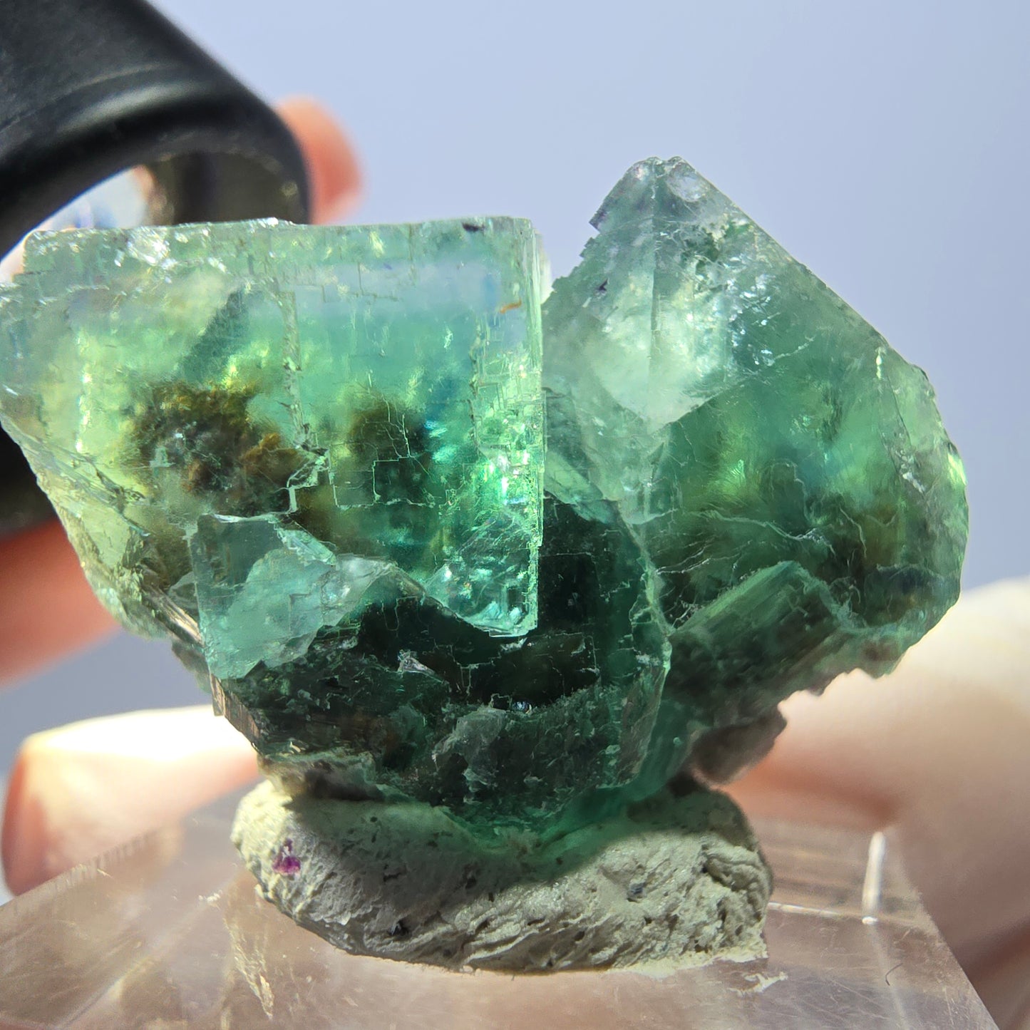 Seltene Phantom Fluorit Würfel Stufe, grün Okorusu, Namibia 36*26*23mm
