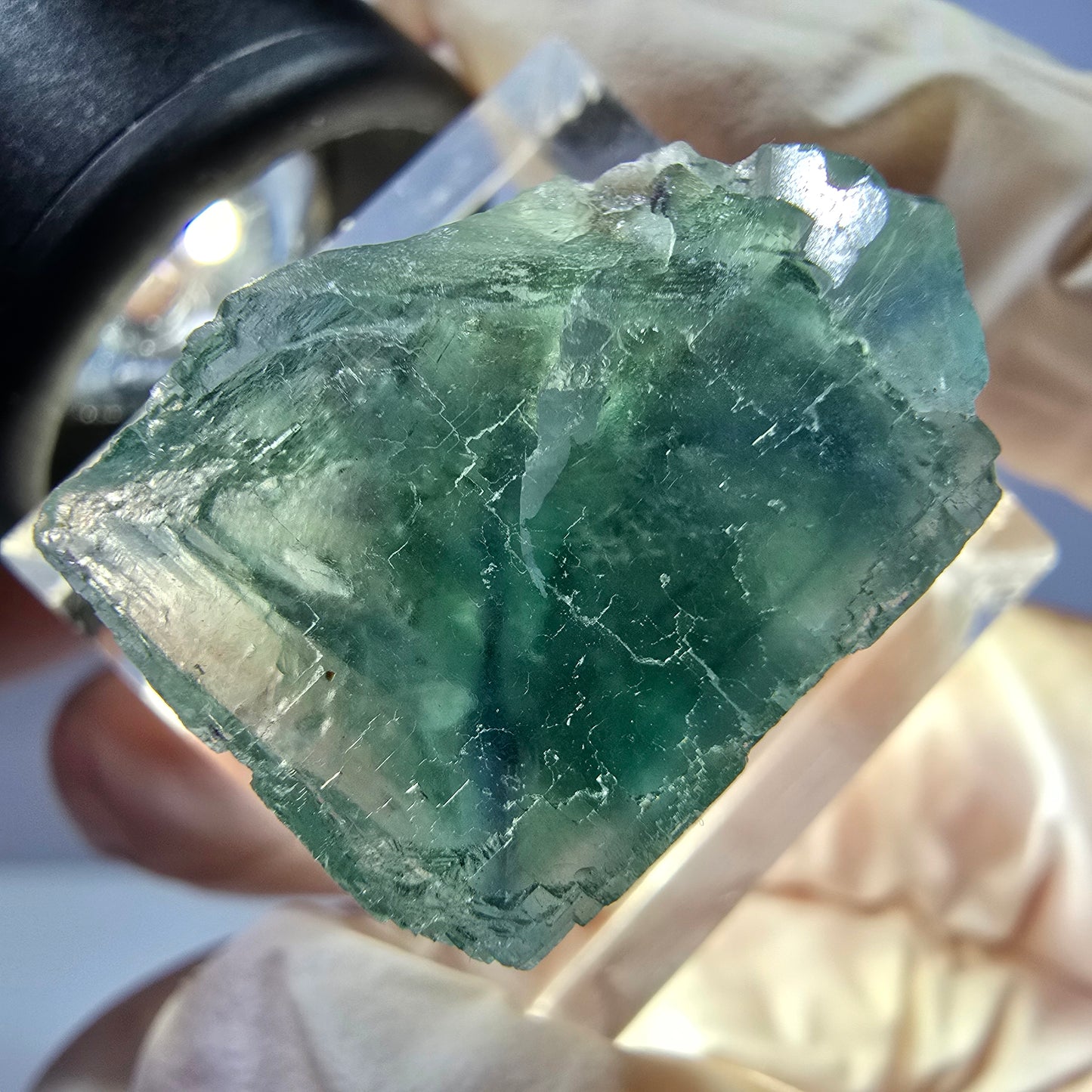 Cube de fluorite fantôme transparente parquetée, vert Okorusu, Namibie 20 x 18 x 15 mm