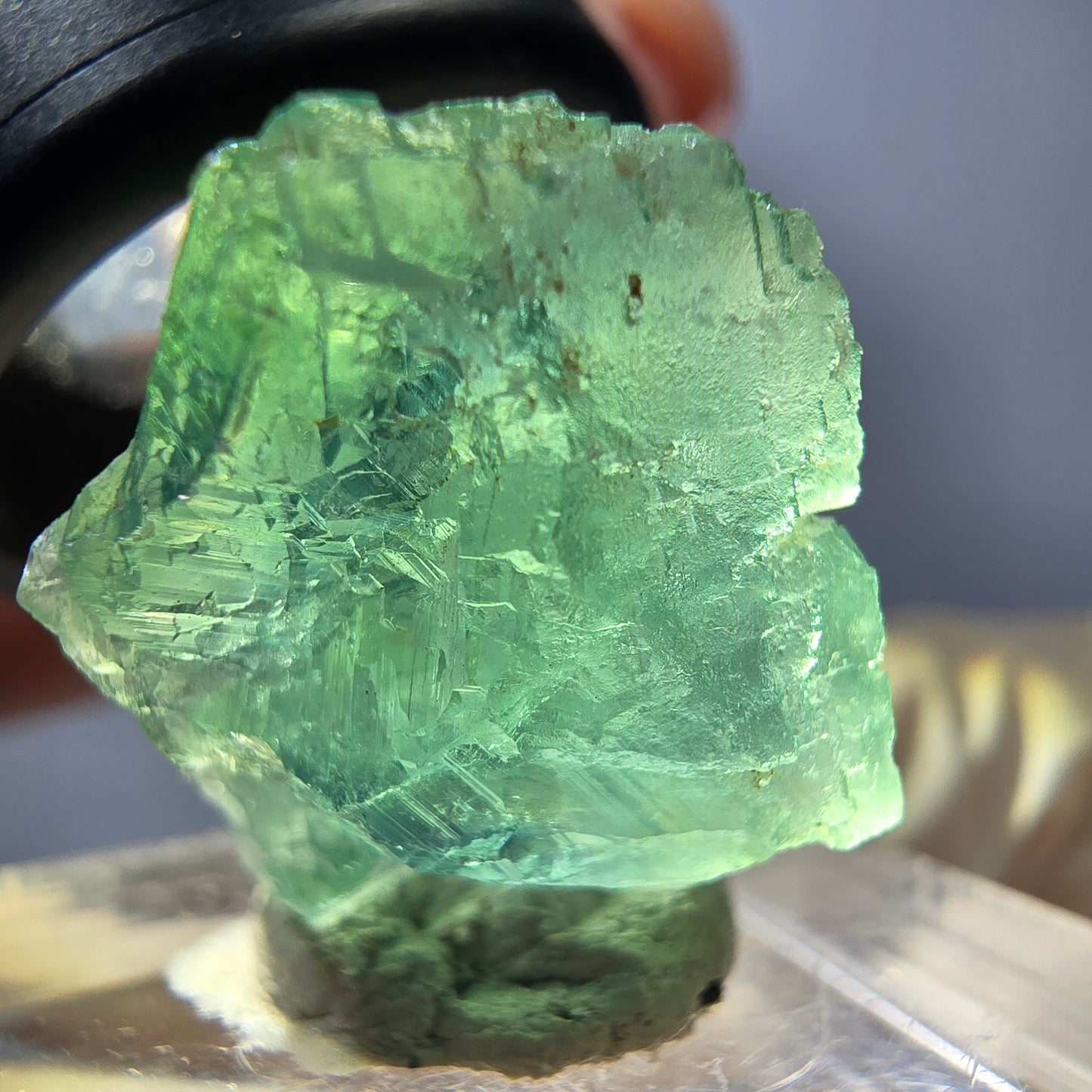 Cube de fluorite fantôme transparente parquetée, vert Okorusu, Namibie 19 x 18 x 15 mm