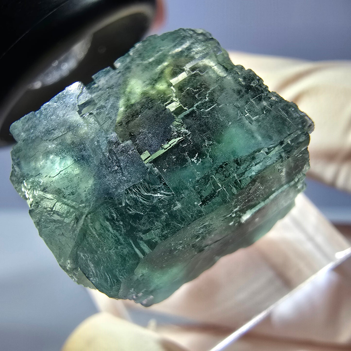 Cube de fluorite fantôme transparente parquetée, vert Okorusu, Namibie 25 x 19 x 15 mm