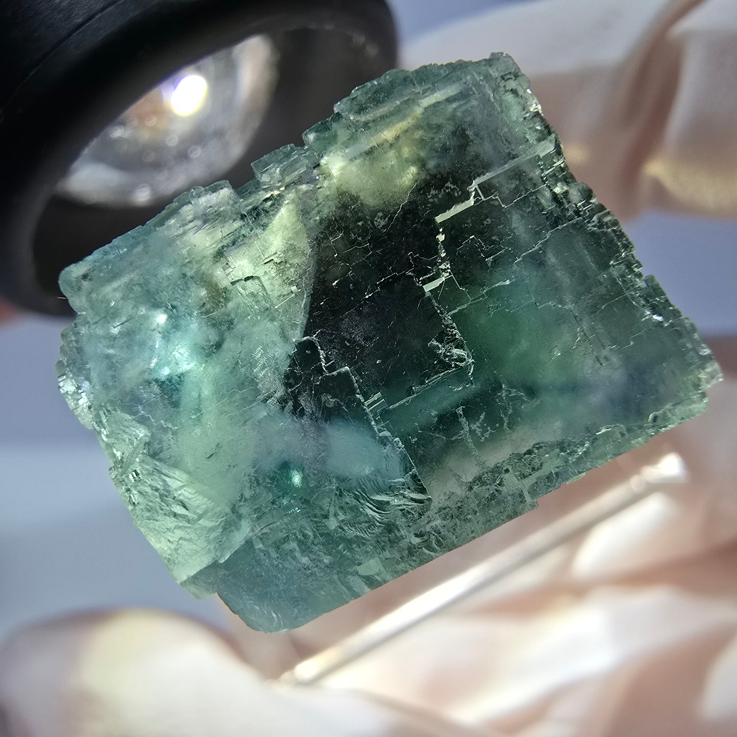 Cube de fluorite fantôme transparente parquetée, vert Okorusu, Namibie 25 x 19 x 15 mm