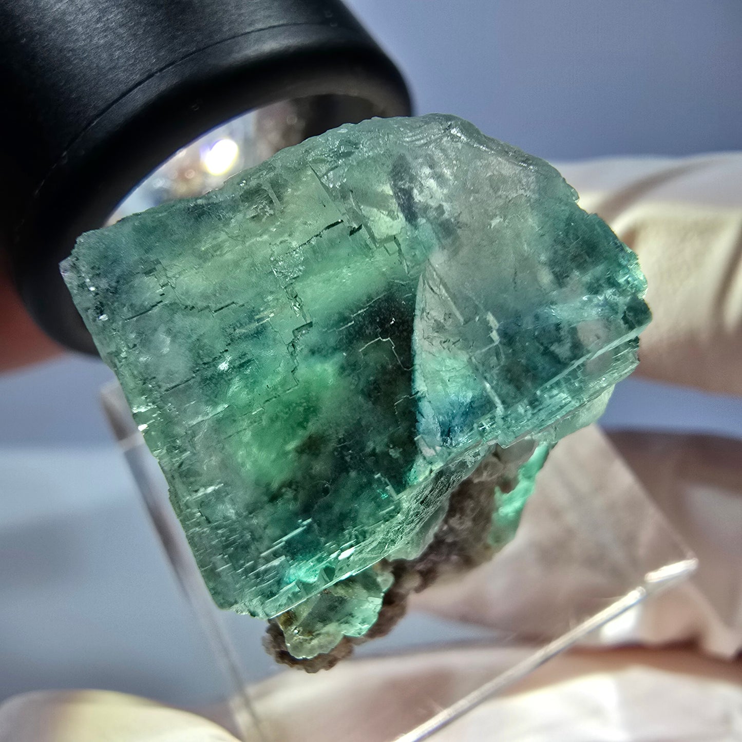 Cube de fluorite fantôme transparente parquetée, vert Okorusu, Namibie 25 x 19 x 15 mm