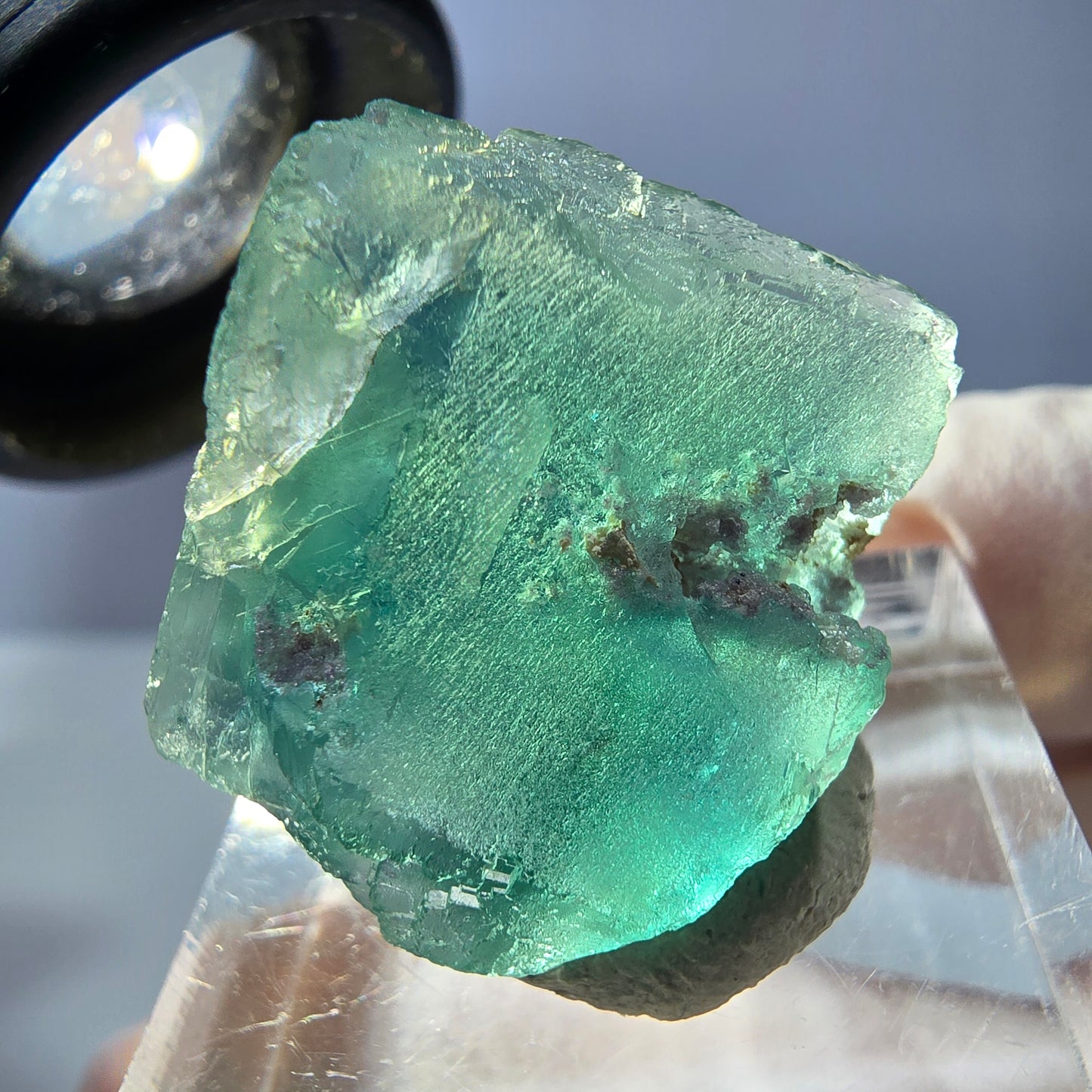 Cube de fluorite fantôme transparente parquetée, vert Okorusu, Namibie 20 x 18 x 17 mm