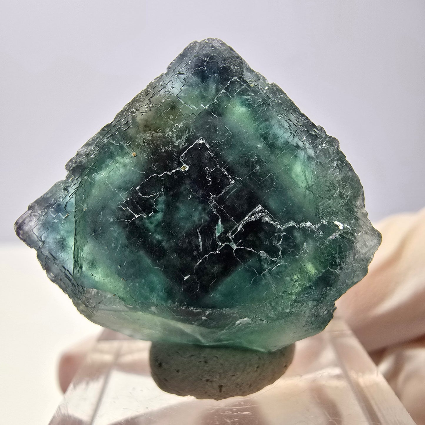 Cristal de fluorite fantôme transparent, cube vert-violet, Okorusu, Namibie, 24 x 24 x 20 mm