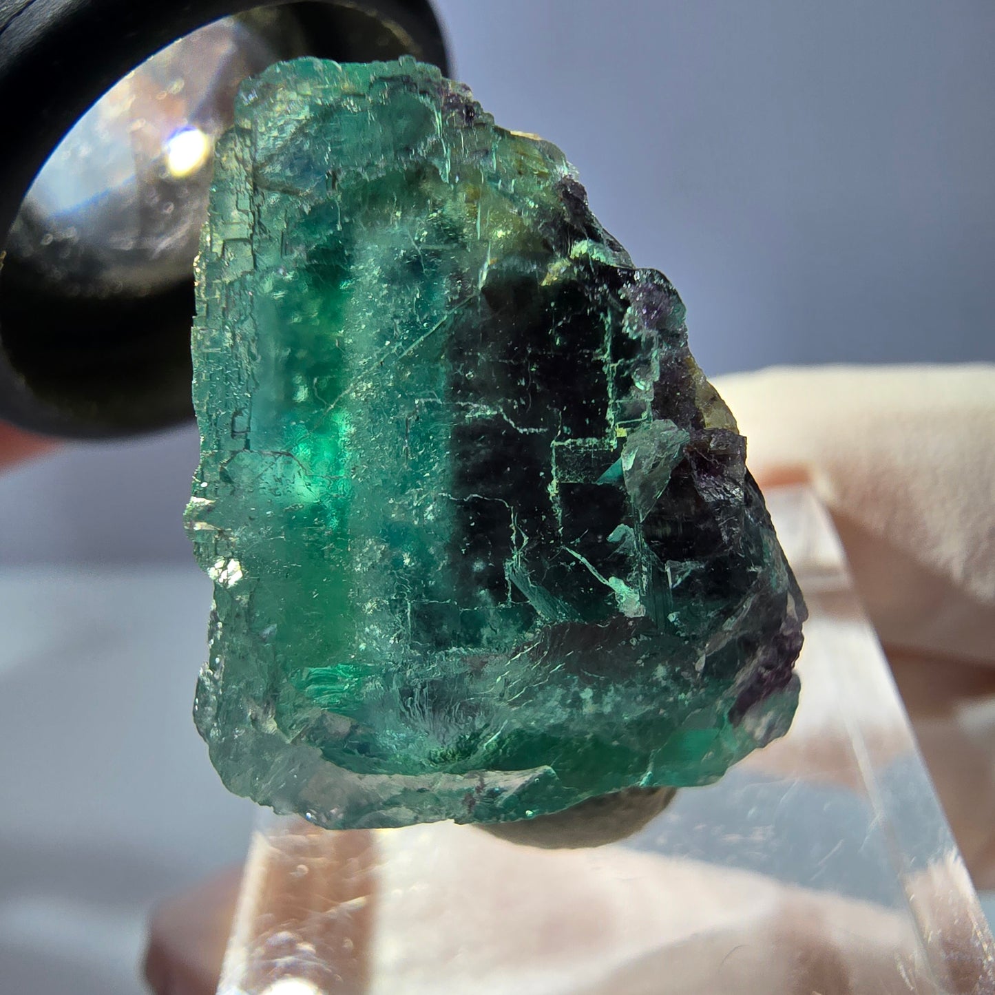 Cristal de fluorite fantôme transparent, cube vert-violet, Okorusu, Namibie, 24 x 24 x 20 mm