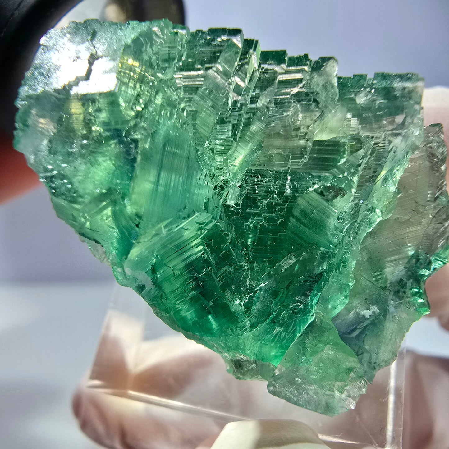 Cube de fluorite fantôme transparente parquetée, vert Okorusu, Namibie 28 x 24 x 22 mm