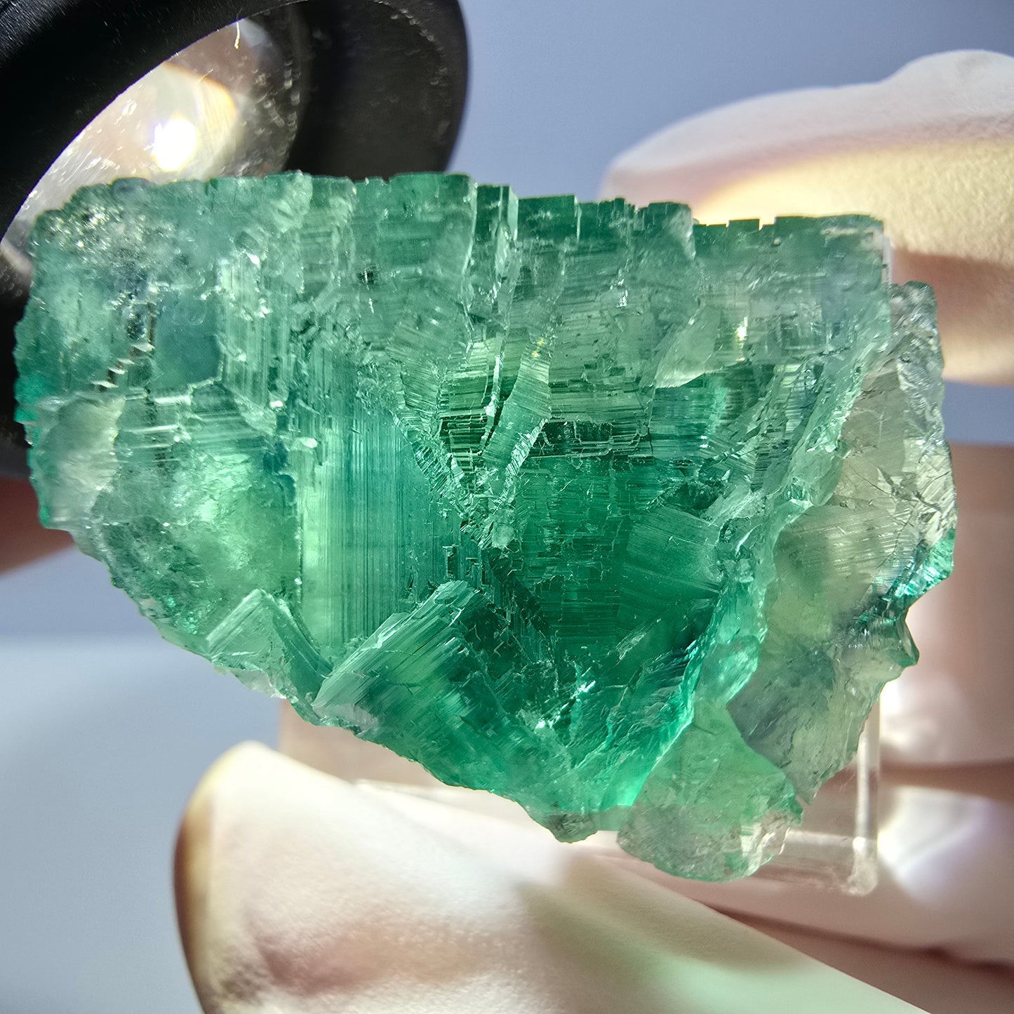Cube de fluorite fantôme transparente parquetée, vert Okorusu, Namibie 28 x 24 x 22 mm