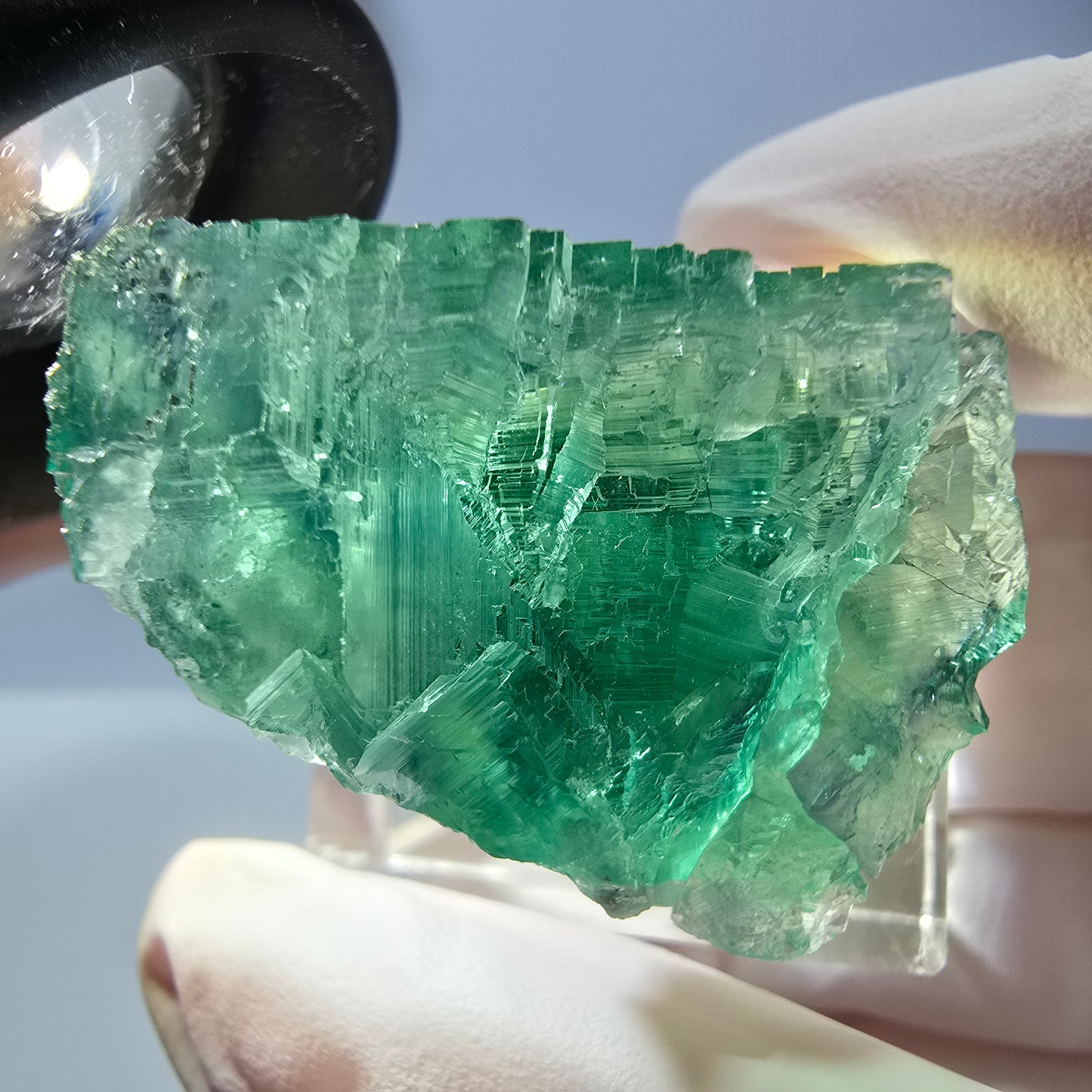 Cube de fluorite fantôme transparente parquetée, vert Okorusu, Namibie 28 x 24 x 22 mm