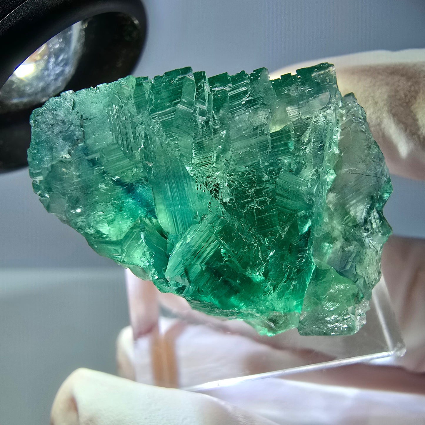 Cube de fluorite fantôme transparente parquetée, vert Okorusu, Namibie 28 x 24 x 22 mm