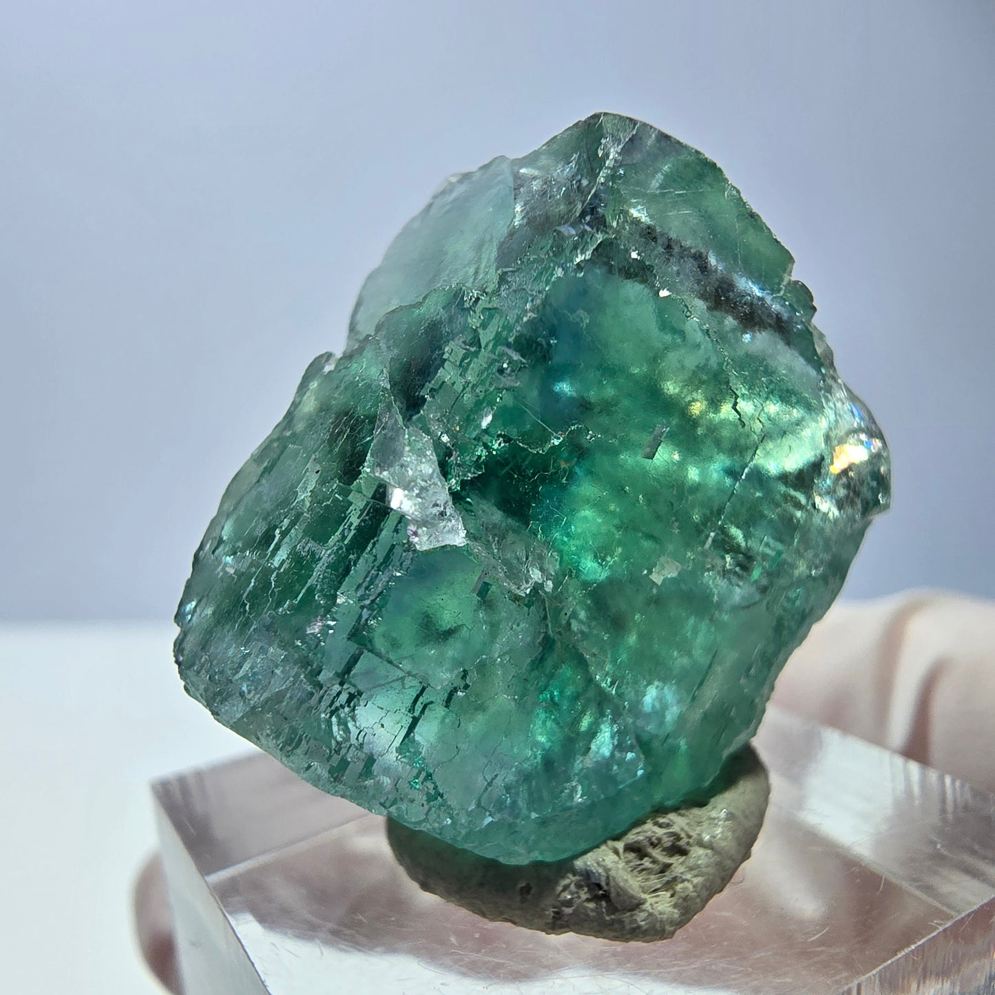 Cube de fluorite fantôme transparente parquetée, vert Okorusu, Namibie 23 x 22 x 15 mm