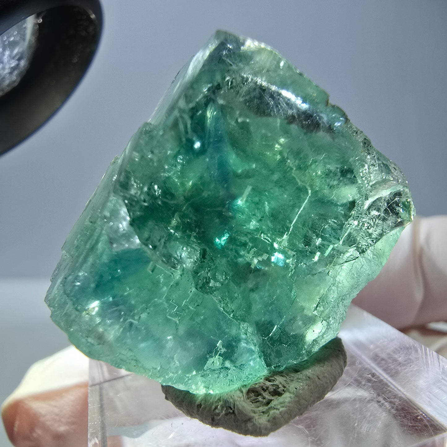 Cube de fluorite fantôme transparente parquetée, vert Okorusu, Namibie 23 x 22 x 15 mm