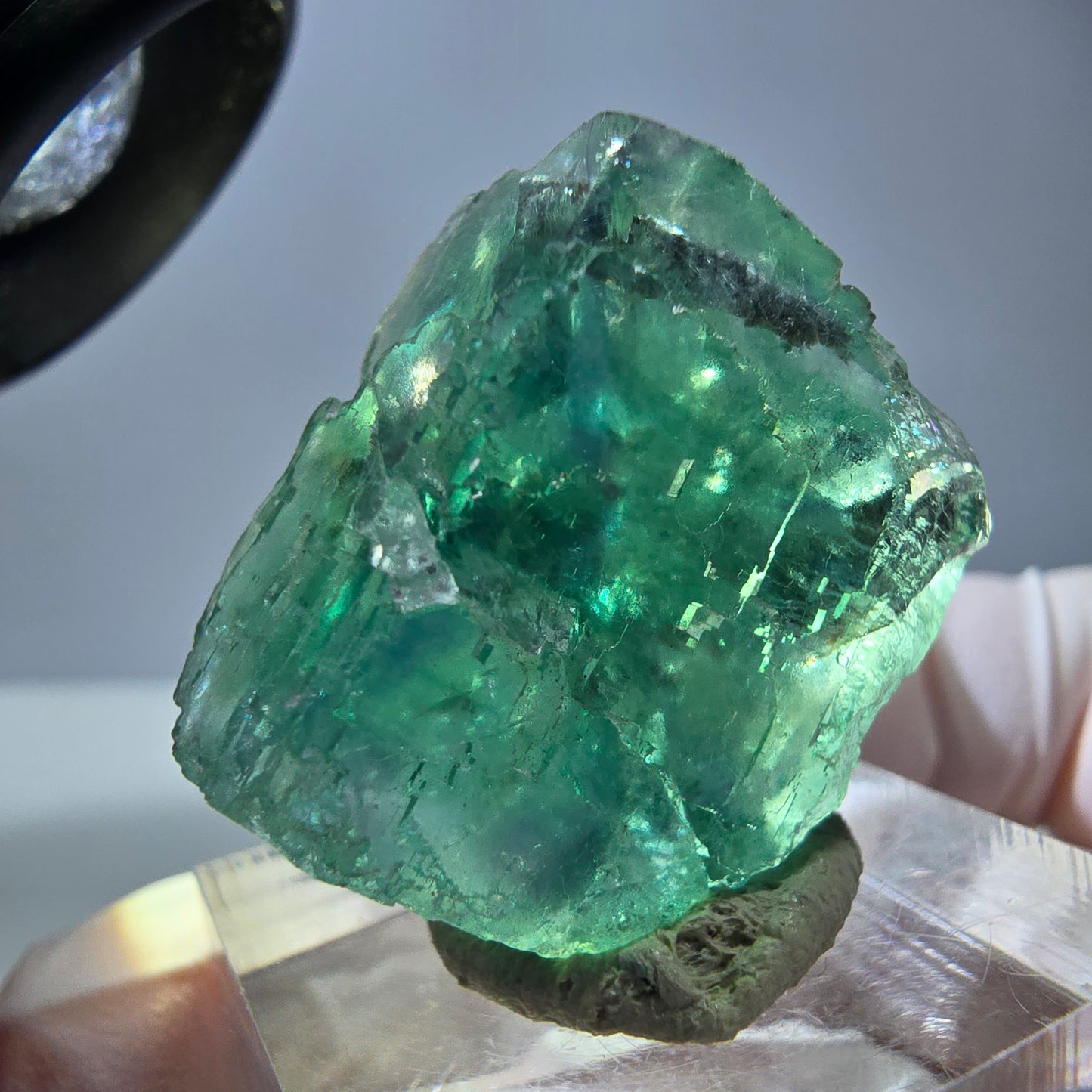 Cube de fluorite fantôme transparente parquetée, vert Okorusu, Namibie 23 x 22 x 15 mm