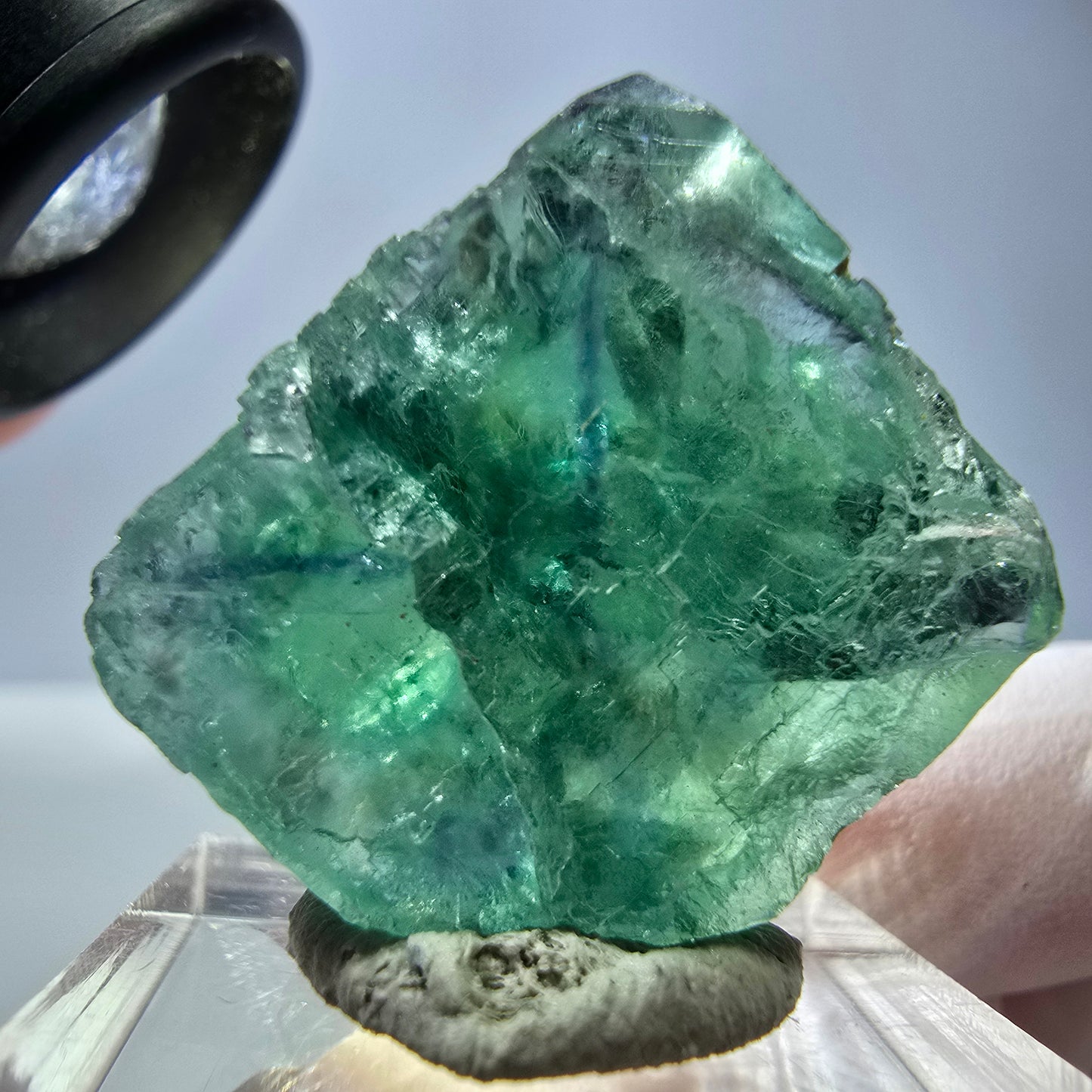Cube de fluorite fantôme transparente parquetée, vert Okorusu, Namibie 23 x 22 x 15 mm