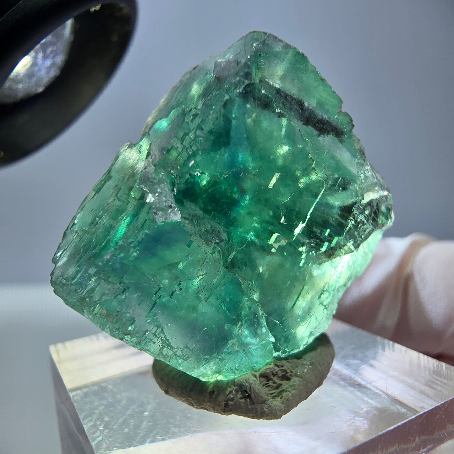 Cube de fluorite fantôme transparente parquetée, vert Okorusu, Namibie 23 x 22 x 15 mm