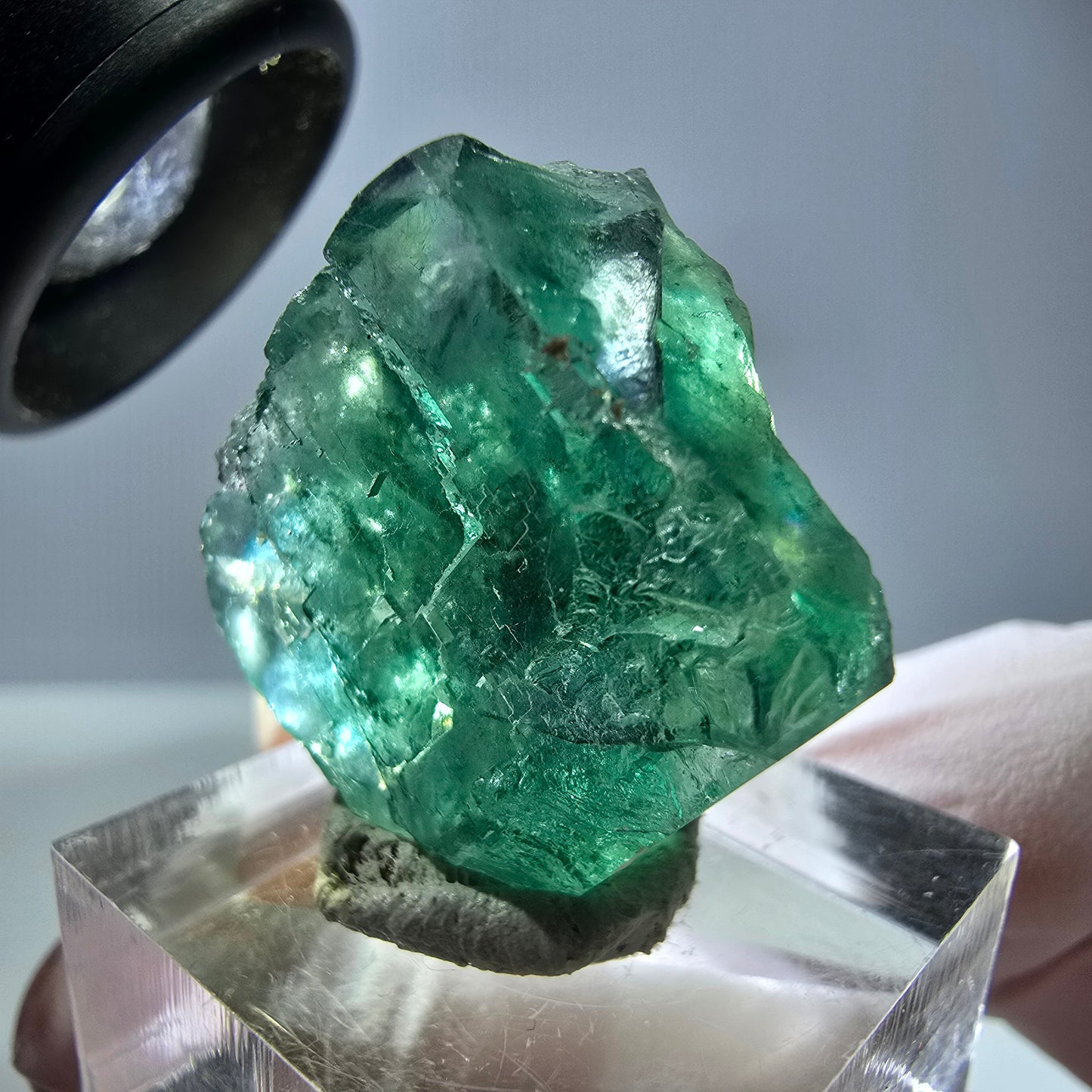 Cube de fluorite fantôme transparente parquetée, vert Okorusu, Namibie 23 x 22 x 15 mm
