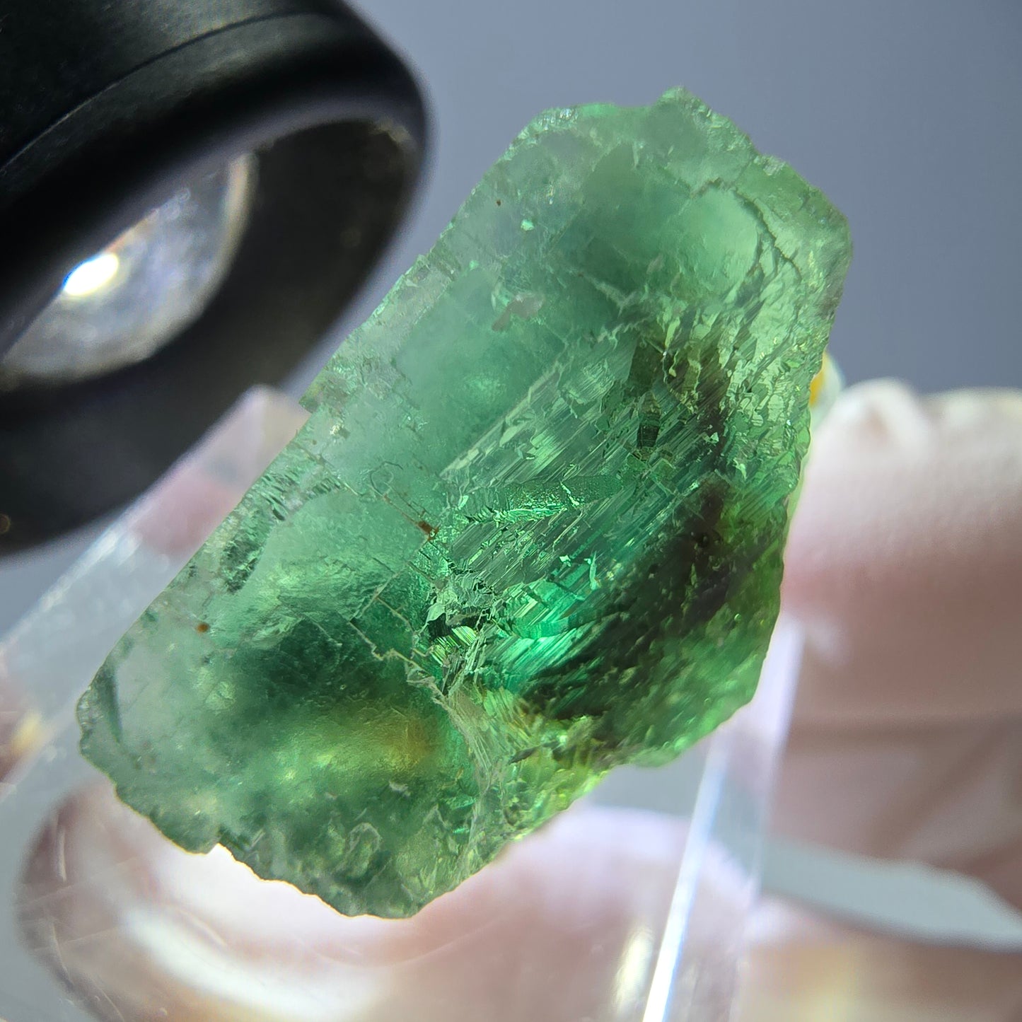 Cube de fluorite fantôme transparente parquetée, vert Okorusu, Namibie 23 x 21 x 15 mm