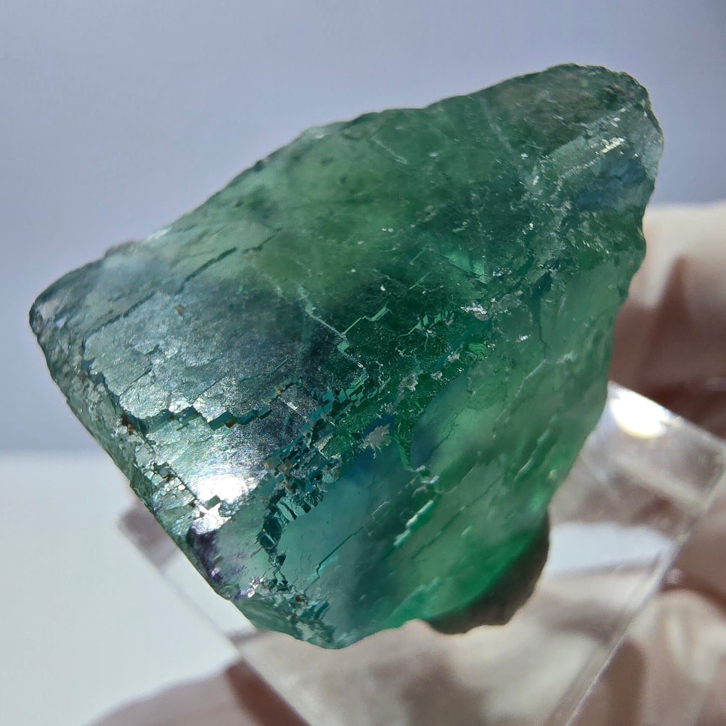 Cube de fluorite fantôme transparente parquetée, vert Okorusu, Namibie 30 x 23 x 21 mm
