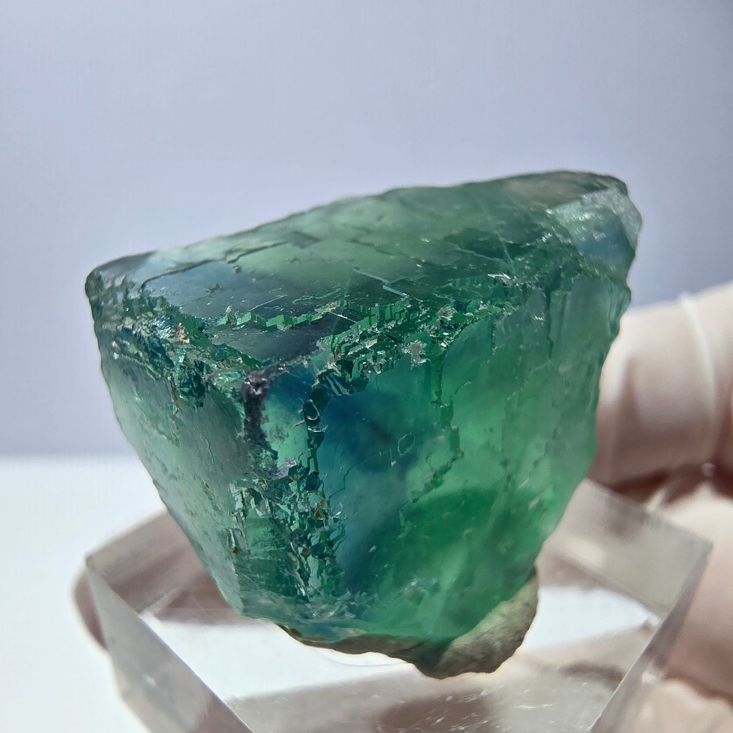 Cube de fluorite fantôme transparente parquetée, vert Okorusu, Namibie 30 x 23 x 21 mm