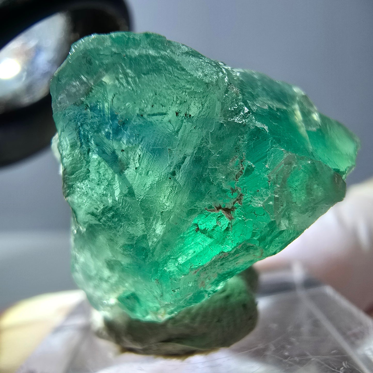 Cube de fluorite fantôme transparente parquetée, vert Okorusu, Namibie 30 x 23 x 21 mm