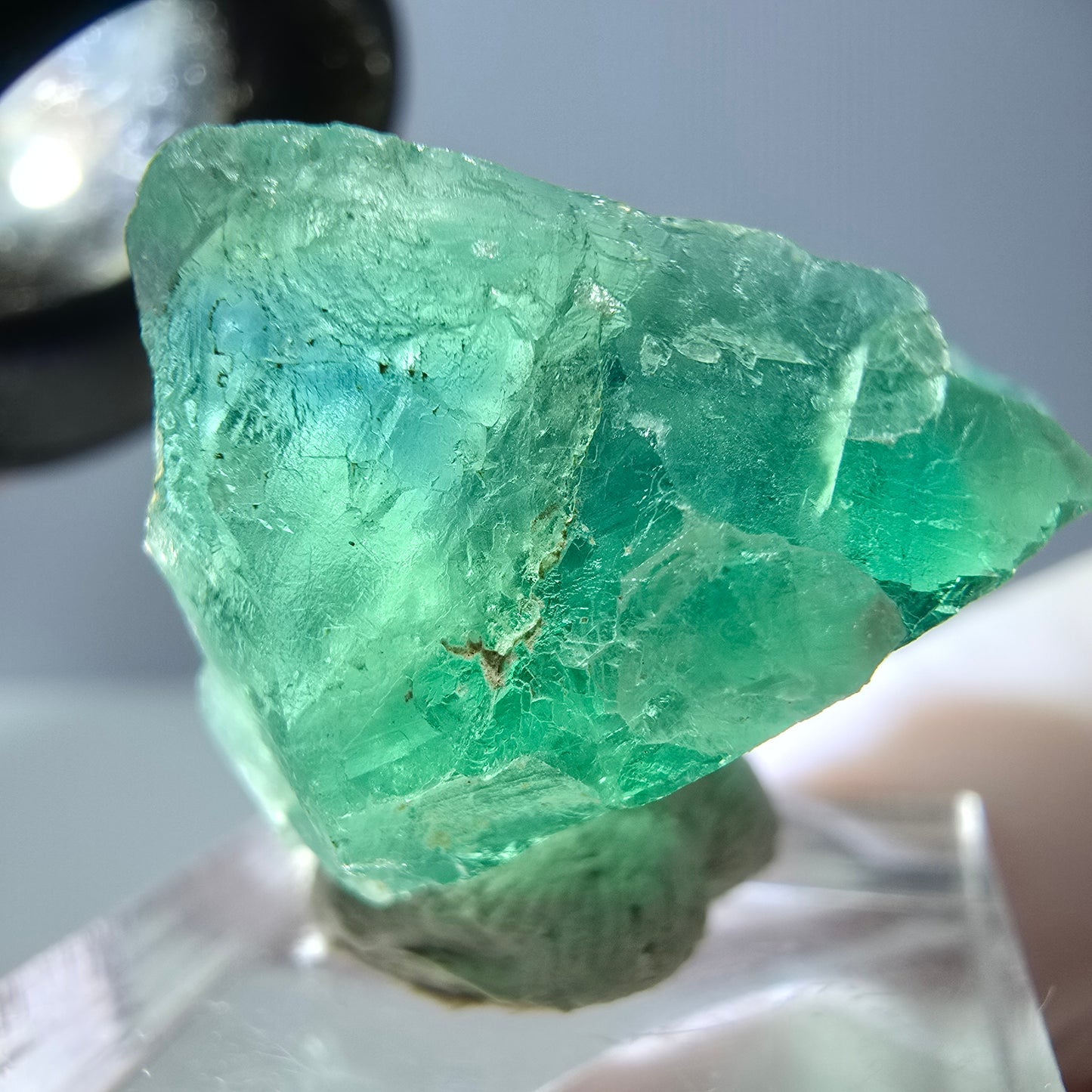Cube de fluorite fantôme transparente parquetée, vert Okorusu, Namibie 30 x 23 x 21 mm