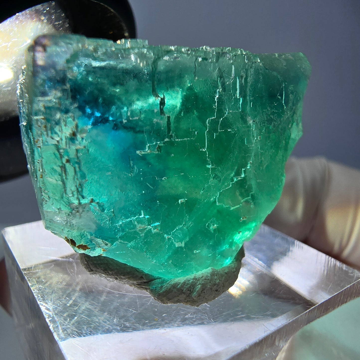 Cube de fluorite fantôme transparente parquetée, vert Okorusu, Namibie 30 x 23 x 21 mm