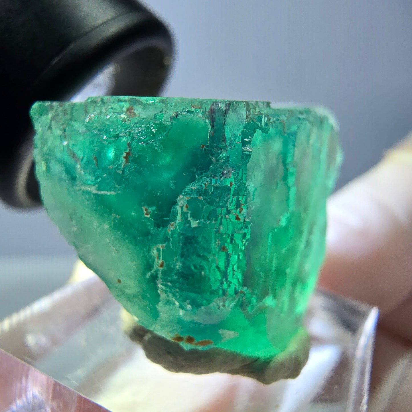 Cube de fluorite fantôme transparente parquetée, vert Okorusu, Namibie 30 x 23 x 21 mm
